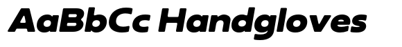 Neue Reman SansSf Black Expanded Italic image