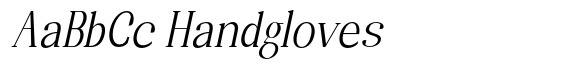 Randion Serif Family Randion Serif Condensed Slanted image