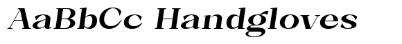 Bleshil Bold Expanded Slant L-T image