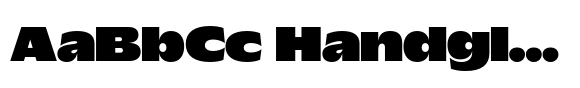Wordmark Display Heavy image