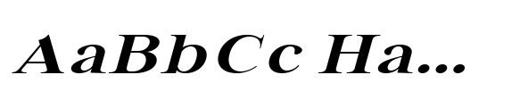 Bia Serif High Se Bold Exp Italic image