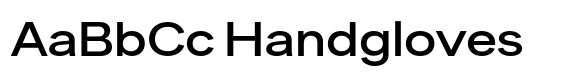 Sinar Grotesk Expanded Medium image