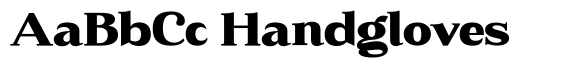 Korela Serif Grade Expanded Slant image