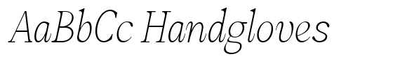 Amnesist Thin Expanded Italic image