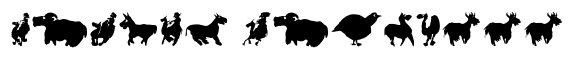 Saharian shadow image