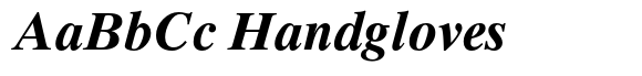 Times Ten Paneuropean Bold Italic image