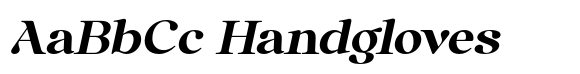 Anglica Serif Black Semi Expa Slanted image