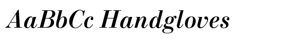 New Standard Bold Italic image