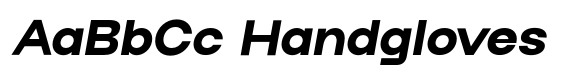 Werk Neue Werk-Neue Extra Bold-Italic image