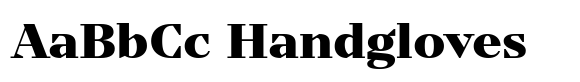 TT Nooks Serif Black image