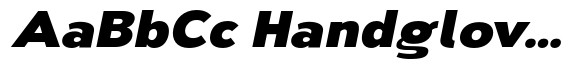 Nsai Pro Wide Heavy Italic image