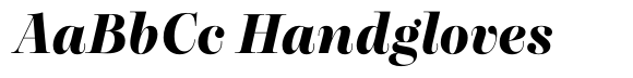 Dupioni Extra Bold Italic image