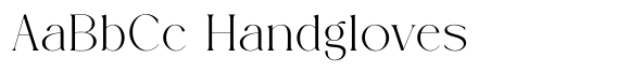 Magite image