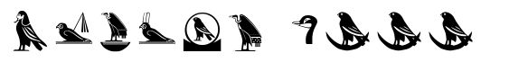 Hieroglyph D Regular image