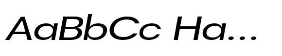 DTF Vectra Neue Expanded Italic image