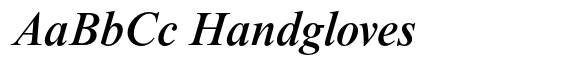 Times New Roman Pro Medium Italic image