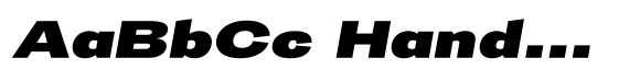 Trivia Gothic X6 Exp Black Italic image