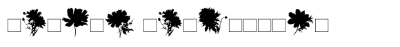 PTx Flowers Silhouette font sample