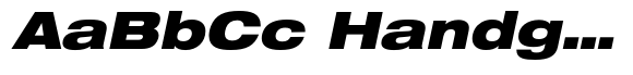 Neue Helvetica Paneuropean 93 Extended Black Oblique image