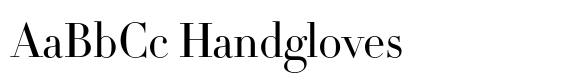 HTF Didot L16 Light image
