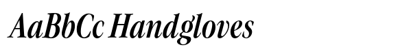 Evoque Condensed Medium Italic image