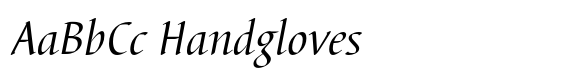 Barbedor Pro Italic image