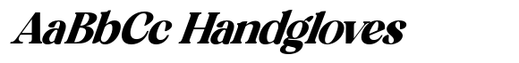 Huntro - Italic Italic image