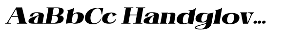 Hottera Cntr ExtraExpanded Italic image
