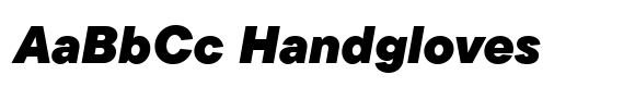 TT Commons Pro ExtraBlack Italic image