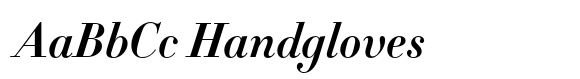 HTF Didot B11 Bold Italic image