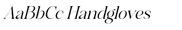 Branden Raulner Italic image