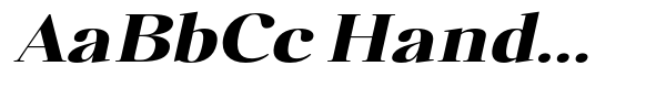 Polisha Reynold Black Italic Expanded image