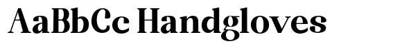 Randion Serif Family Randion Serif Black image