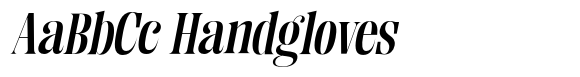 Enigera Bold Expanded Italic image