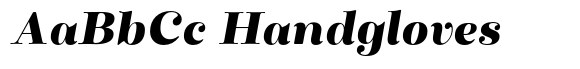 Winslow Title Mod Black Italic image