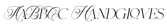Cherly Hills Typeface Italic image