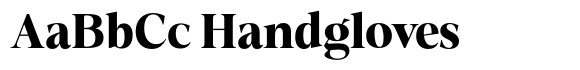 Fitgad Bold image