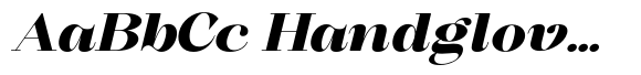 Selogia Black Extra Expanded Italic image