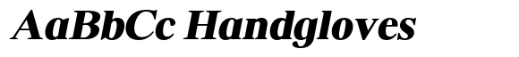 Shequan Soft Shequan Black Italic image