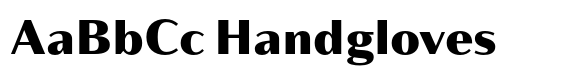 Partner Sans Black image