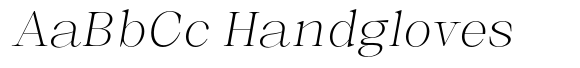 Selnora ExtLtExpSlant image