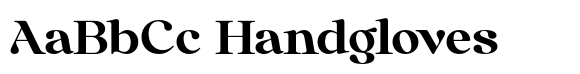 Anglica Serif Black Semi Expa image