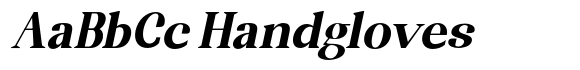 Randion Serif Family Randion Serif Black Slanted image
