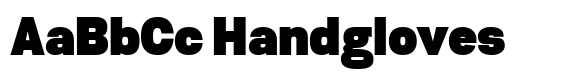 Biarty Sans Extra Black image