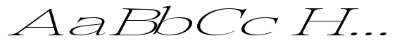 Pichellsio Soft Thin Italic Extra Expanded image