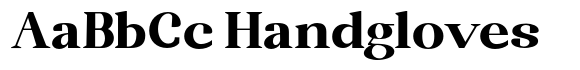 Randion Serif Family Randion Serif Black Expanded image