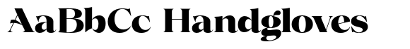 Volkys Serif Black image