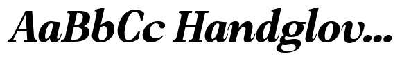 Amnesist Extra Bold Expanded Italic image