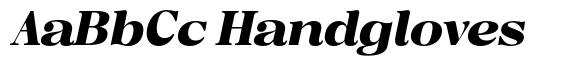 Regaris Plain Black High Italic image