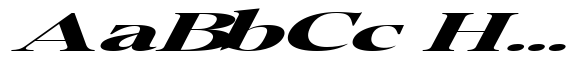 Pichellsio Soft Black Italic Extra Expanded image